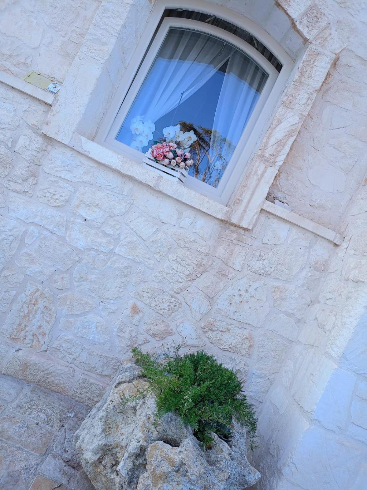 Villa Brachychiton Ostuni Εξωτερικό φωτογραφία